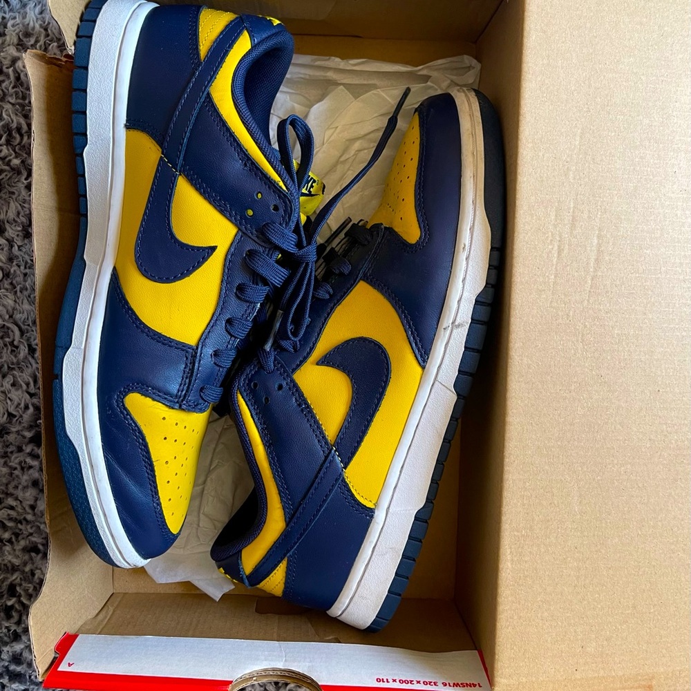 Nike Michigan Dunk Low Size 8